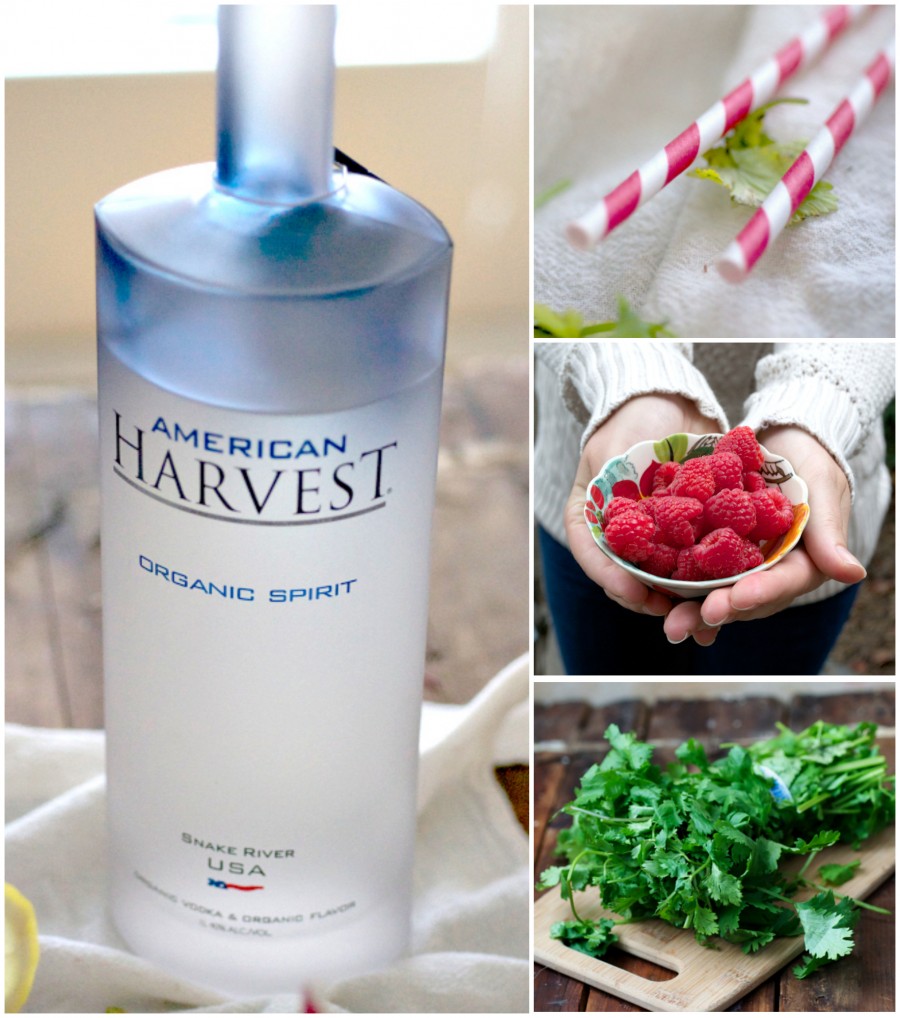 Mixed Fruit & Cilantro Vodka Smoothie The Realistic Nutritionist